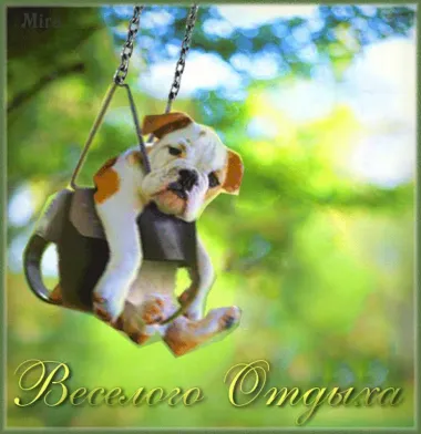 Открытка с пожеланиями Поздравление, красивое пожелание Смешная картинка стильно, прикольно, коротко, своими словами