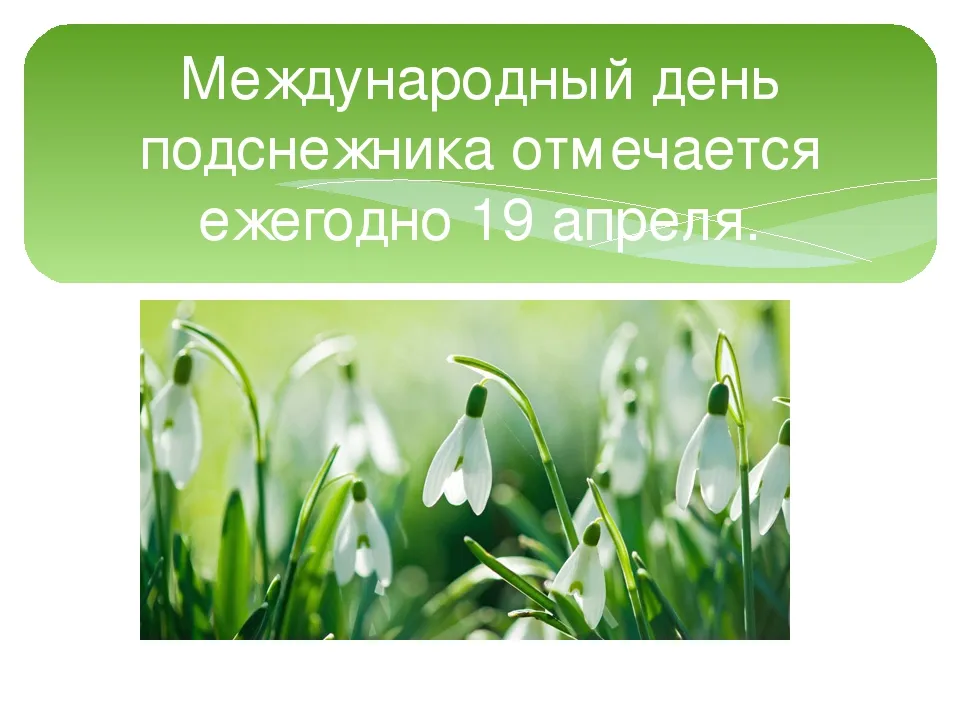 Открытка с пожеланиями Поздравление, красивое пожелание Открытка международный стильно, прикольно, коротко, своими словами