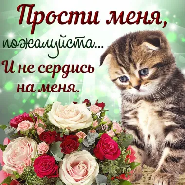 Открытка с пожеланиями Прости меня