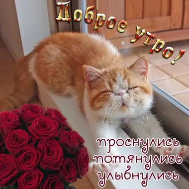 Открытка с пожеланиями Доброе утро