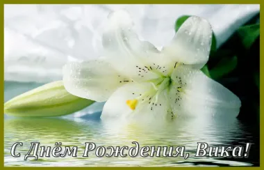 Открытка с пожеланиями Поздравление, красивое пожелание Нежная открытка с днем стильно, прикольно, коротко, своими словами