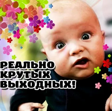 Открытка с пожеланиями Поздравление, красивое пожелание Смешная картинка стильно, прикольно, коротко, своими словами