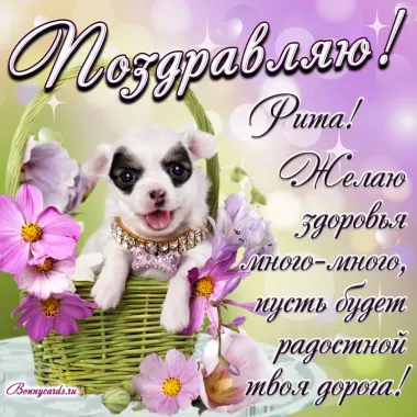 Открытка с пожеланиями Поздравление, красивое пожелание Нежная поздравительная картинка дял риты в стильно, прикольно, коротко, своими словами