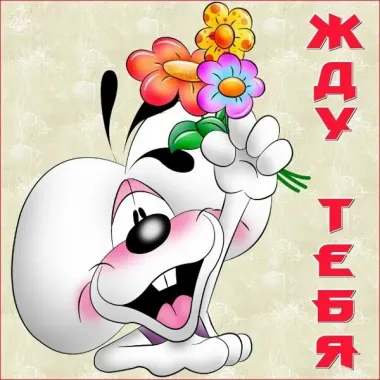 Открытка с пожеланиями Поздравление, красивое пожелание Прикольная открытка стильно, прикольно, коротко, своими словами