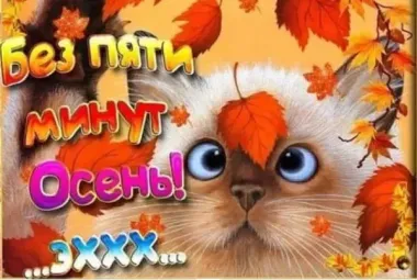 Открытка с пожеланиями Поздравление, красивое пожелание Прикольная открытка с последним стильно, прикольно, коротко, своими словами