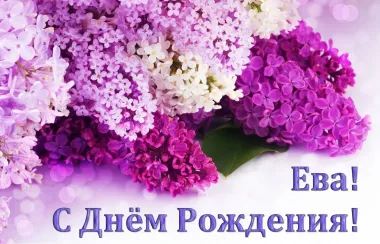 Открытка с пожеланиями Поздравление, красивое пожелание Картинка ева, с стильно, прикольно, коротко, своими словами