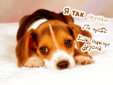 Открытка с пожеланиями Поздравление, красивое пожелание Открытка я скучаю по стильно, прикольно, коротко, своими словами