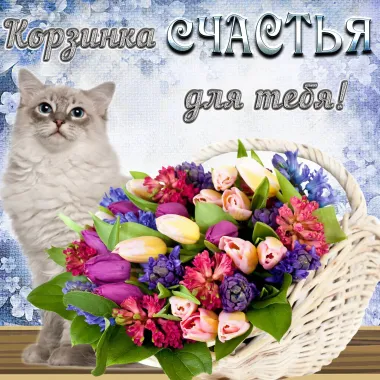 Открытка с пожеланиями Поздравление, красивое пожелание Счастья стильно, прикольно, коротко, своими словами