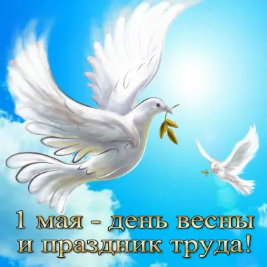 Открытка с пожеланиями Поздравление, красивое пожелание Добрая картинка с стильно, прикольно, коротко, своими словами