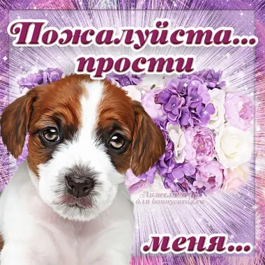 Открытка с пожеланиями Прости меня