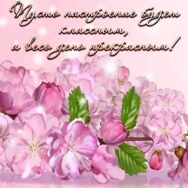 Открытка с пожеланиями Поздравление, красивое пожелание Пожелание стильно, прикольно, коротко, своими словами