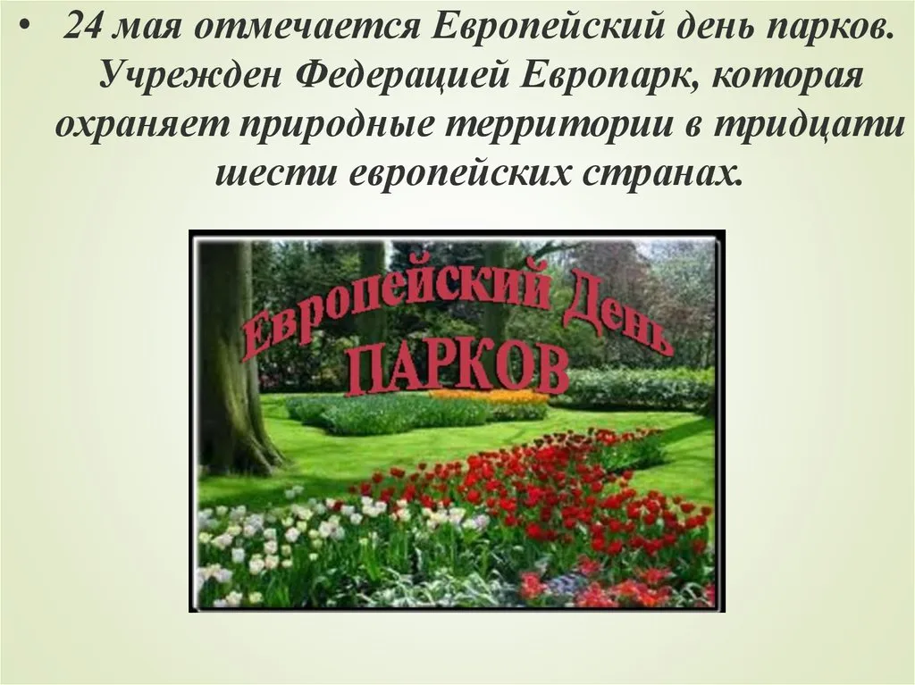 Подборка Праздники Европейский день парков в количестве  4