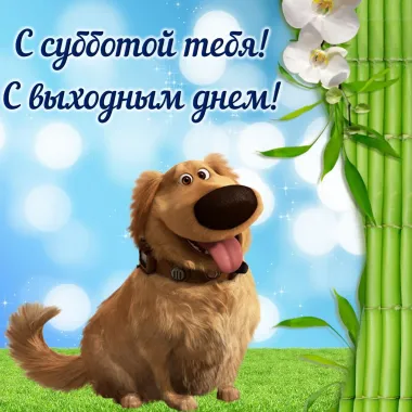 Открытка с пожеланиями Суббота