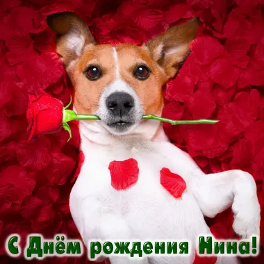 Открытка с пожеланиями Поздравление, красивое пожелание Прикольная картинка с днем стильно, прикольно, коротко, своими словами