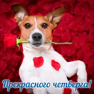 Открытка с пожеланиями Четверг