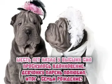 Открытка с пожеланиями Поздравление, красивое пожелание Прикольная открытка с стильно, прикольно, коротко, своими словами