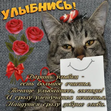 Открытка с пожеланиями Поздравление, красивое пожелание Смешная картинка с стильно, прикольно, коротко, своими словами