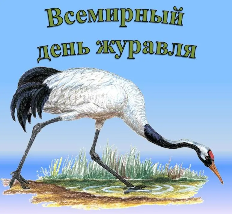 Открытка с пожеланиями Поздравление, красивое пожелание Красивая картинка всемирный стильно, прикольно, коротко, своими словами