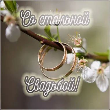 Открытка с пожеланиями Поздравление, красивое пожелание Картинка со стильно, прикольно, коротко, своими словами