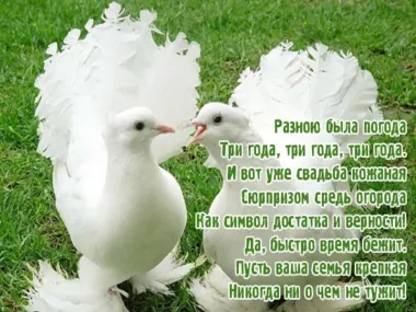 Открытка с пожеланиями Поздравление, красивое пожелание Нежная картинка с стильно, прикольно, коротко, своими словами