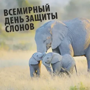 Открытка с пожеланиями Поздравление, красивое пожелание Открытки со всемирным днем стильно, прикольно, коротко, своими словами