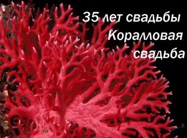 Открытка с пожеланиями Поздравление, красивое пожелание Открытка на стильно, прикольно, коротко, своими словами