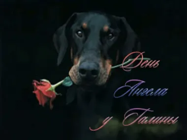 Открытка с пожеланиями Поздравление, красивое пожелание Красивая открытка на день стильно, прикольно, коротко, своими словами