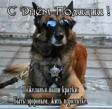 Открытка с пожеланиями Поздравление, красивое пожелание Картинка красивая смешная поздравляю с стильно, прикольно, коротко, своими словами