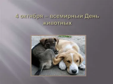 Открытка с пожеланиями Поздравление, красивое пожелание Нежная открытка на всемирный стильно, прикольно, коротко, своими словами