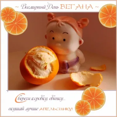 Открытка с пожеланиями Поздравление, красивое пожелание Трогательная смешная картинка с стильно, прикольно, коротко, своими словами