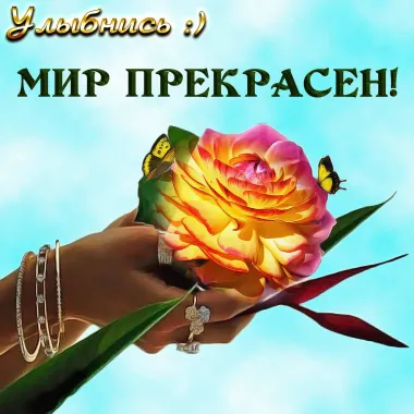 Открытка с пожеланиями Поздравление, красивое пожелание Картинка красивая улыбнись, стильно, прикольно, коротко, своими словами