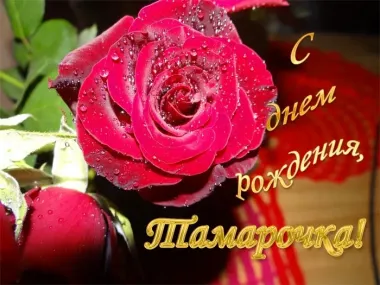 Открытка с пожеланиями Поздравление, красивое пожелание Яркая картинка на день стильно, прикольно, коротко, своими словами