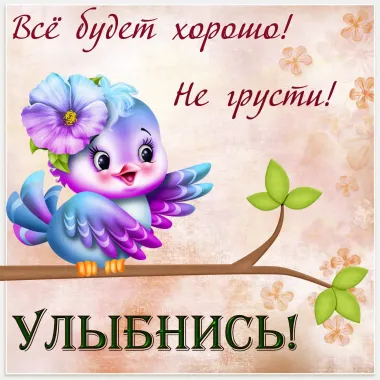 Открытка с пожеланиями Поздравление, красивое пожелание Яркая смешная открытка улыбнись, все стильно, прикольно, коротко, своими словами