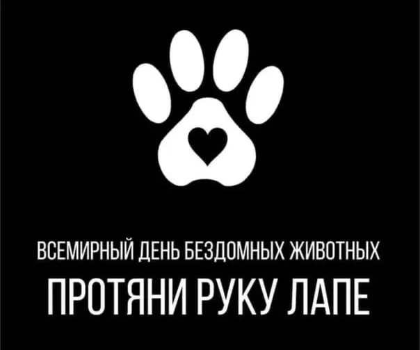 Открытка с пожеланиями Поздравление, красивое пожелание Открытка всемирный день стильно, прикольно, коротко, своими словами