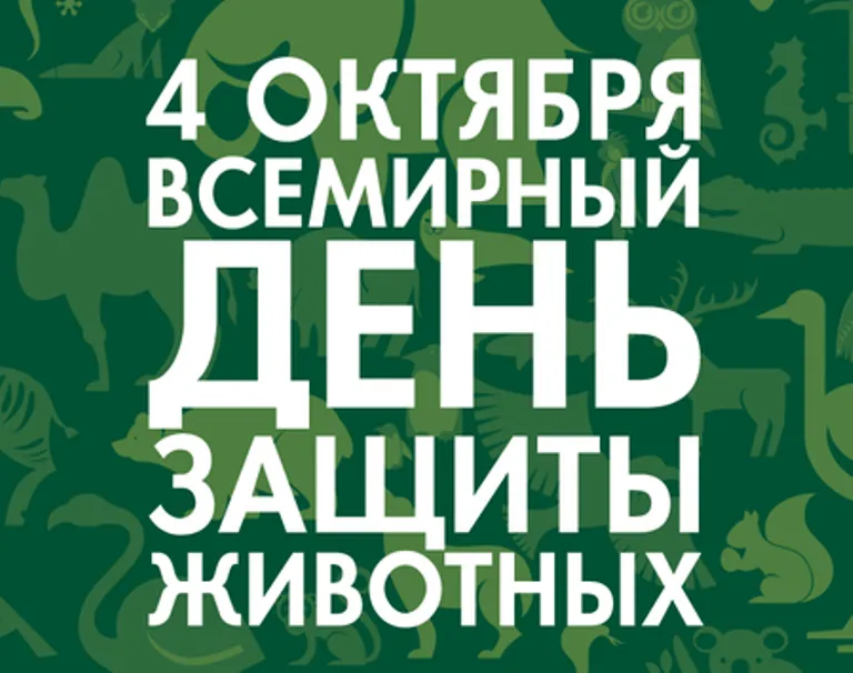 Открытка с пожеланиями Поздравление, красивое пожелание Открытка на всемирный стильно, прикольно, коротко, своими словами