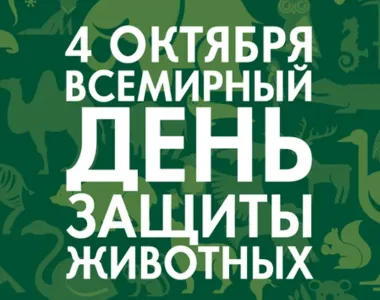 Открытка с пожеланиями Поздравление, красивое пожелание Открытка на всемирный стильно, прикольно, коротко, своими словами