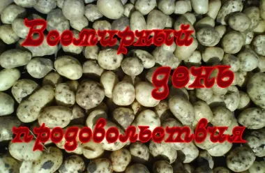 Открытка с пожеланиями Поздравление, красивое пожелание Картинка на всемирный стильно, прикольно, коротко, своими словами