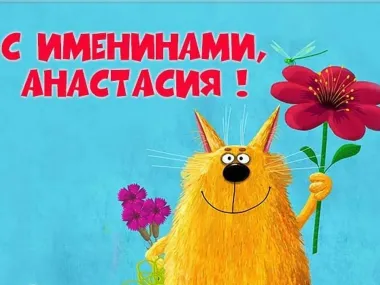 Открытка с пожеланиями Поздравление, красивое пожелание Смешная картинка с стильно, прикольно, коротко, своими словами