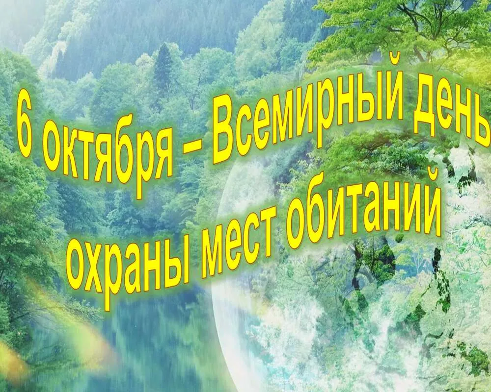 Открытка с пожеланиями Поздравление, красивое пожелание Яркая картинка на всемирный день охраны стильно, прикольно, коротко, своими словами