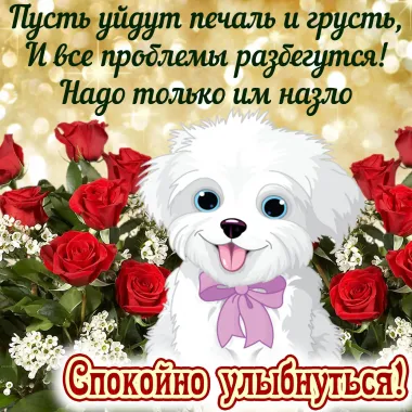 Открытка с пожеланиями Поздравление, красивое пожелание Картинка милая с нежным пожеланием стильно, прикольно, коротко, своими словами