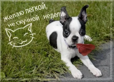 Открытка с пожеланиями Поздравление, красивое пожелание Картинка смешная с легким стильно, прикольно, коротко, своими словами