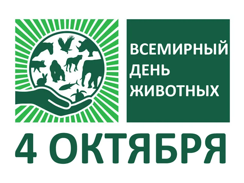 Открытка с пожеланиями Поздравление, красивое пожелание Стильная картинка всемирный стильно, прикольно, коротко, своими словами