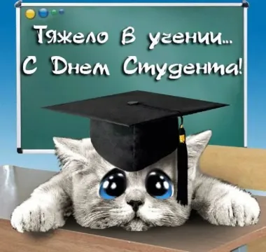 Открытка с пожеланиями Поздравление, красивое пожелание Смешная открытка с стильно, прикольно, коротко, своими словами