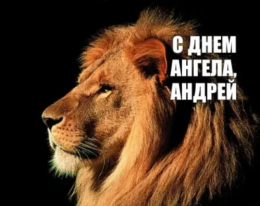 Открытка с пожеланиями Поздравление, красивое пожелание Красивая картинка Андрею на стильно, прикольно, коротко, своими словами