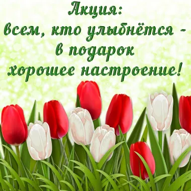 Открытка с пожеланиями Поздравление, красивое пожелание Картинка стильно, прикольно, коротко, своими словами