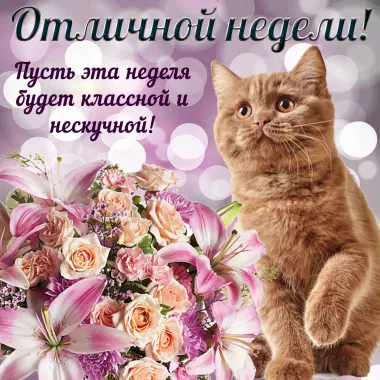 Открытка с пожеланиями Поздравление, красивое пожелание Прикольная открытка стильно, прикольно, коротко, своими словами