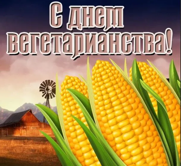 Открытка с пожеланиями Поздравление, красивое пожелание Открытка на стильно, прикольно, коротко, своими словами