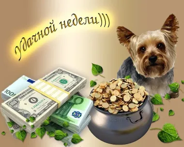 Открытка с пожеланиями Поздравление, красивое пожелание Яркая смешная картинка стильно, прикольно, коротко, своими словами