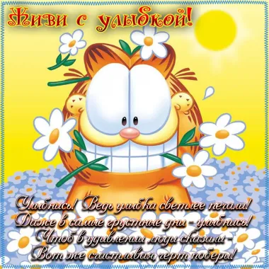 Открытка с пожеланиями Поздравление, красивое пожелание Яркая прикольная открытка живи стильно, прикольно, коротко, своими словами