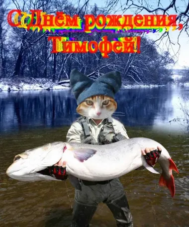 Открытка с пожеланиями Поздравление, красивое пожелание Смешная открытка с днем стильно, прикольно, коротко, своими словами